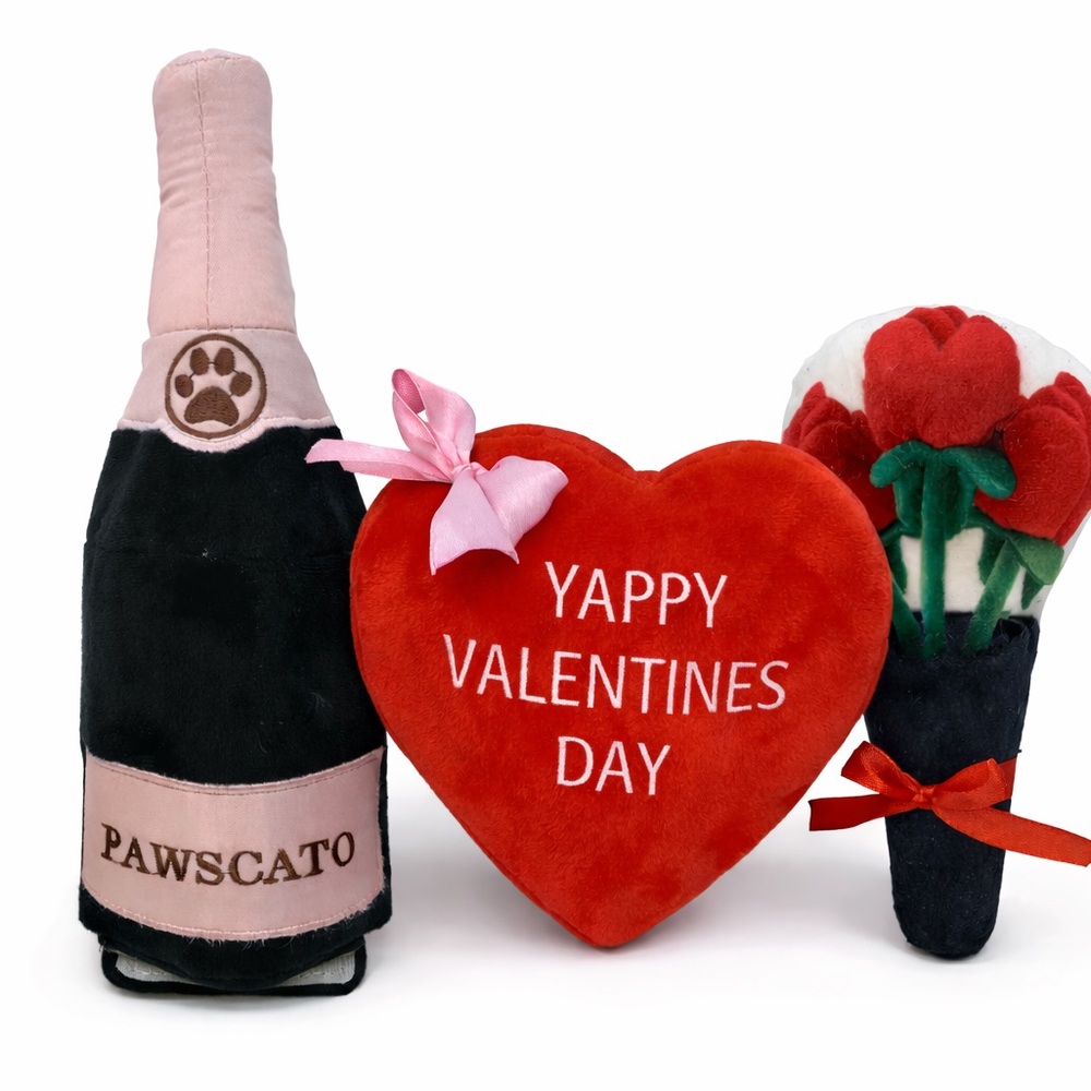 Valentine's Day Dog Toy Set - Pampered Pet Box